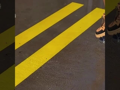 Güvenlik Çalışma Botları